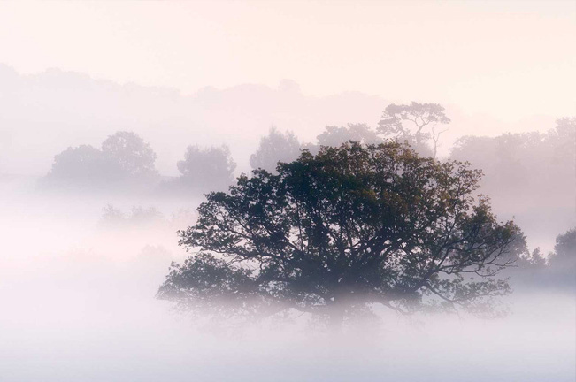 駐馬店北部出現霧霾天氣 提醒市民謹慎出行