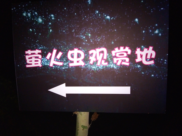 “夢幻金頂”金頂山第二屆螢火蟲音樂節“如期而至”