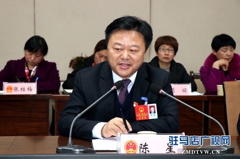 陳星參加上蔡代表團的審議政府工作報告時發言。