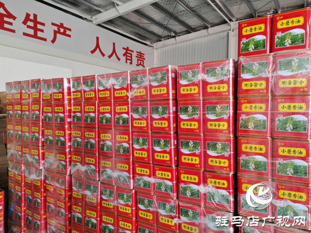 平輿縣十字路鄉十字路村:黨建聯動“雙提升” 強村富民促振興