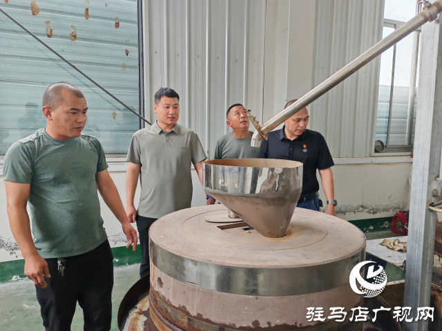 平輿縣十字路鄉十字路村:黨建聯動“雙提升” 強村富民促振興