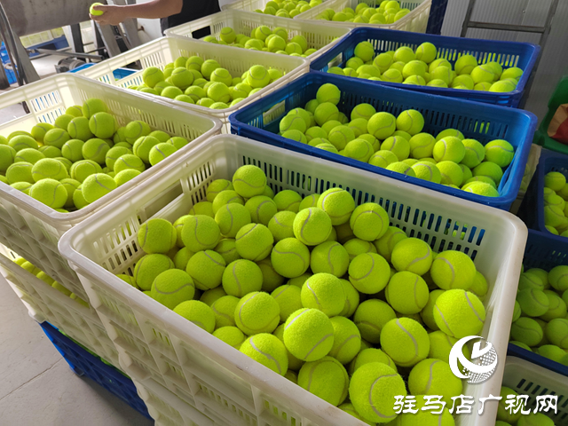 泌陽縣馬谷田鎮:“引鳳歸巢”助發展 鄉村經濟煥活力