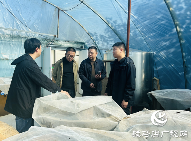 駐馬店市城鄉(xiāng)一體化示范區(qū):優(yōu)化出口退稅服務 助力企業(yè)穩(wěn)步遠航