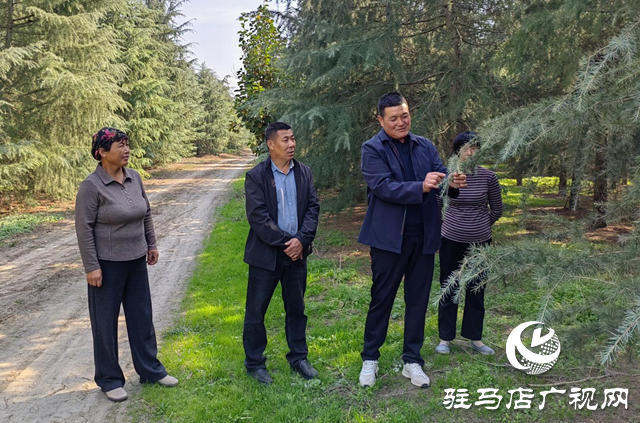 “河南硬漢”劉大華:見義勇為寫就正氣華章