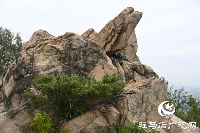 ?探秘泌陽羅漢山:藏在山野間的詩意秘境