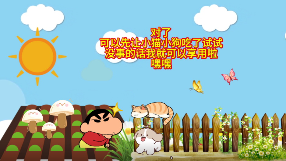 讓動物吃野生蘑菇試毒靠譜嗎？