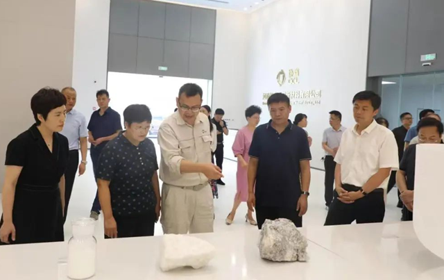 駐馬店職業技術學院校長宋華民帶隊開展“訪企拓崗”專項行動