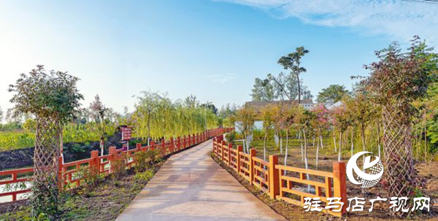 正陽(yáng)縣彭橋鄉(xiāng)大劉村:“五星”創(chuàng)建引領(lǐng) 賦能鄉(xiāng)村全面振興