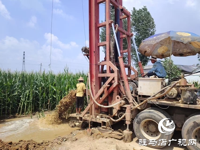 遂平陽豐鎮:打井引水 為農田“解渴”