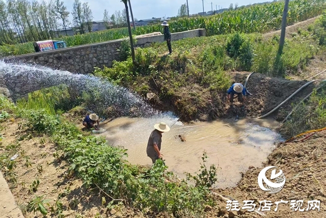 遂平陽豐鎮:打井引水 為農田“解渴”
