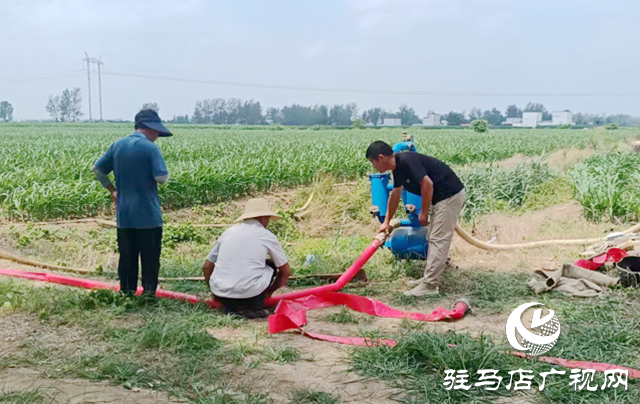 確山縣上下合力守護125萬畝秋作物安全