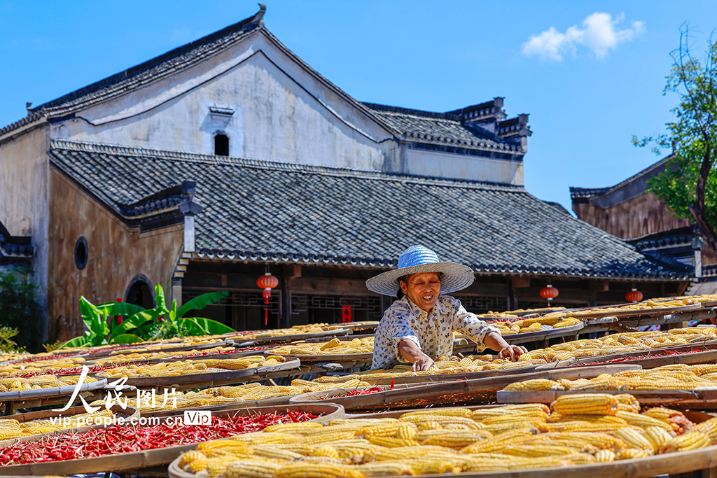 古村曬秋忙 五彩映豐收