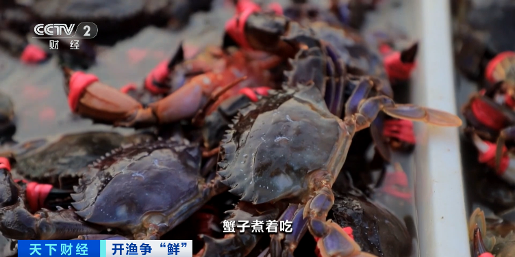 大降價！低至十元一斤！你愛吃的它，便宜了