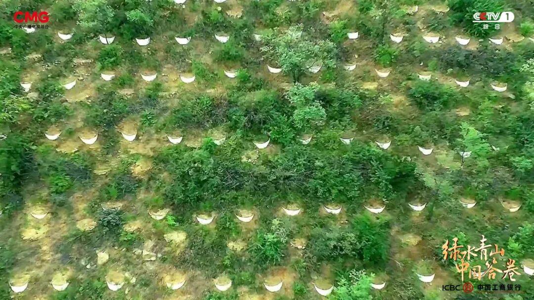 “工業城”與“生態市”的雙向奔赴:濟源產城融合的綠色答卷