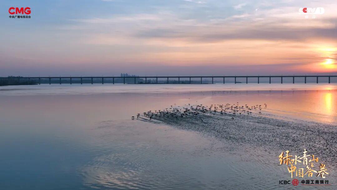 “工業城”與“生態市”的雙向奔赴:濟源產城融合的綠色答卷