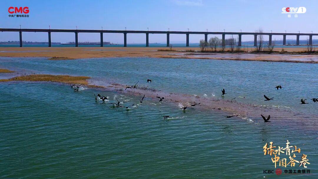 “工業城”與“生態市”的雙向奔赴:濟源產城融合的綠色答卷