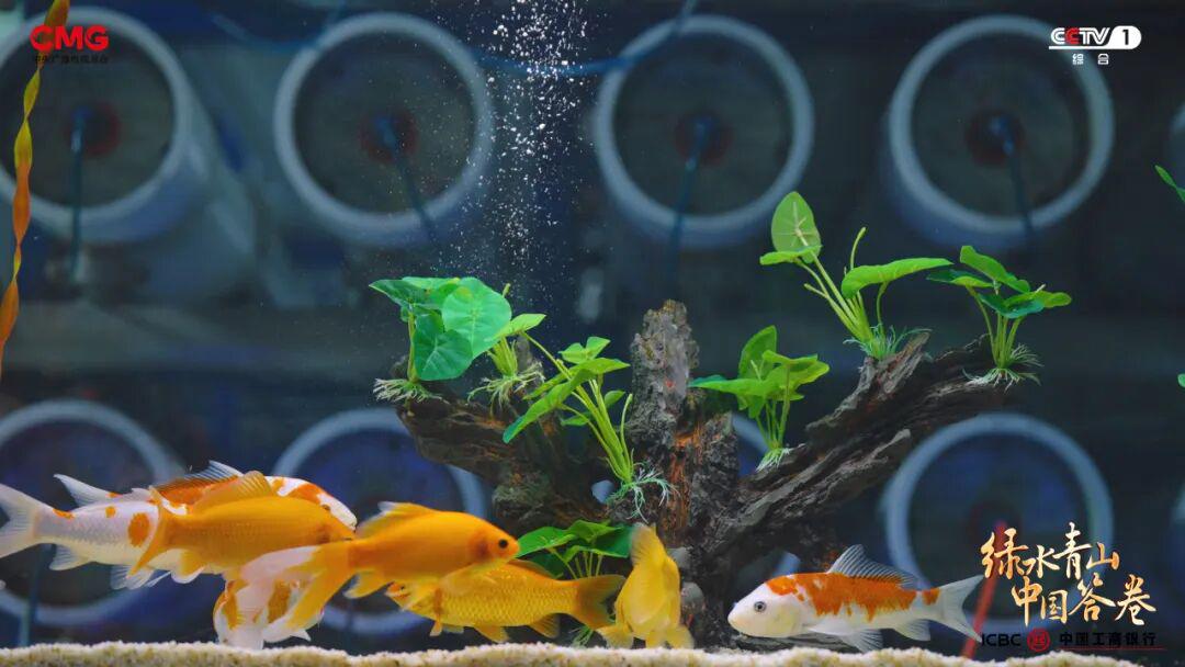 “工業城”與“生態市”的雙向奔赴:濟源產城融合的綠色答卷