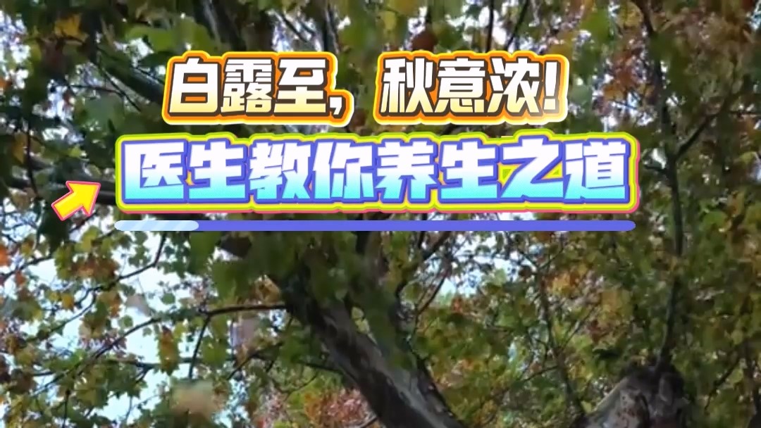 白露至，秋意濃！駐馬店市中醫院醫生教你養生之道