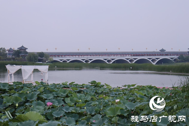 印象練江湖熙汐水岸主題樂園開業 解鎖“城市微度假”新體驗