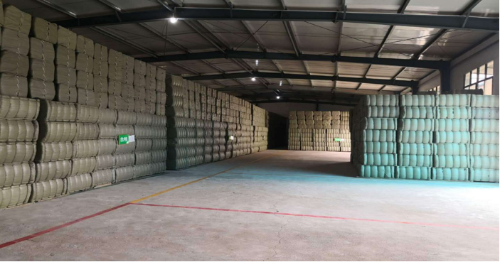 “小草藥”孕育“大標(biāo)準(zhǔn)”:確山鵝不食草規(guī)范化種植助農(nóng)增收