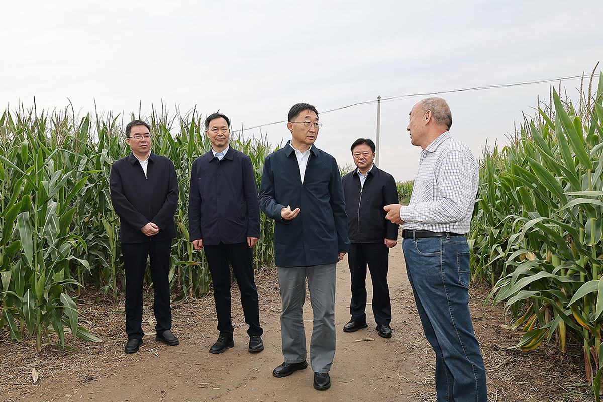 劉寧到扶溝縣鄲城縣調研