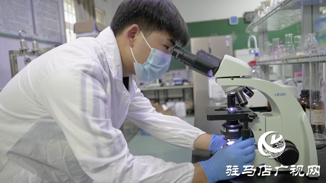 黃淮學院學子在第十屆全國大學生生命科學競賽中斬獲多項獎項