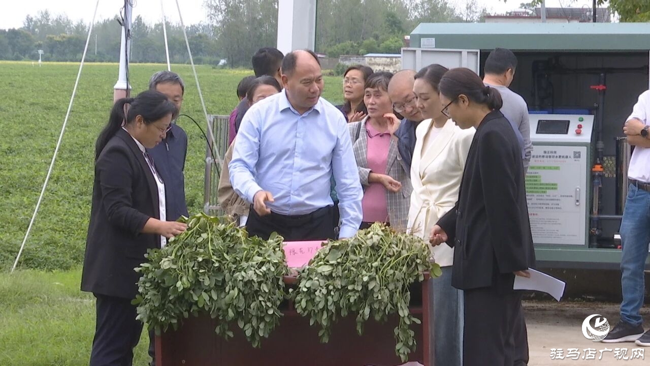 正陽縣舉行院縣共建“高油酸花生豫花37配套水肥一體化技術”觀摩會