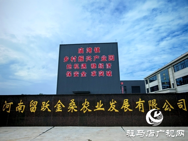 平輿縣廟灣鎮黑田村：桑葉月餅“烤”出致富新滋味