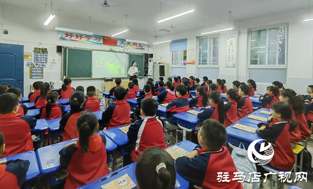 育見新力量丨蘇琳:十六載初心如磐 創新育人潤無聲