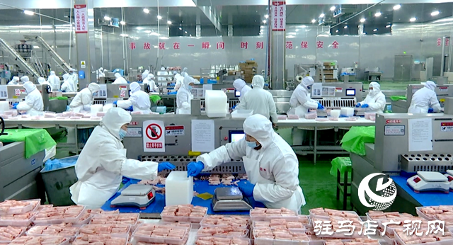 泌陽縣:奮戰三季度 奪取全年勝 產業發展動能足