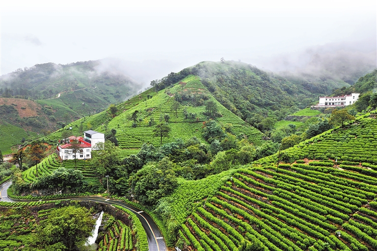 雨后云霧繪就秋日畫卷