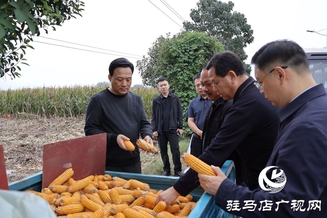西平縣委書記侯公濤督導“三秋”農業生產和巡河檢查工作