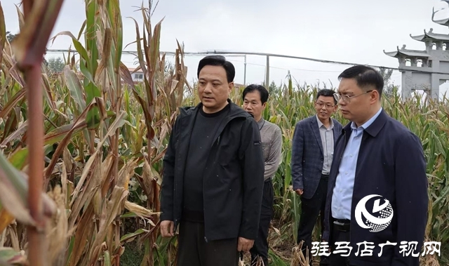 西平縣委書記侯公濤督導“三秋”農業生產和巡河檢查工作