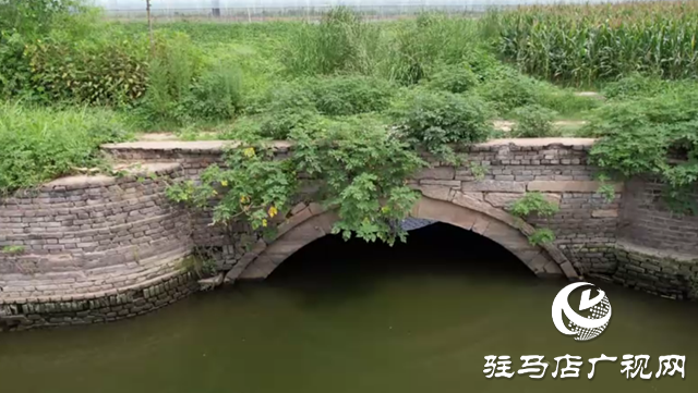 探訪葛陵村:觸摸千年文脈 守護歷史遺產?