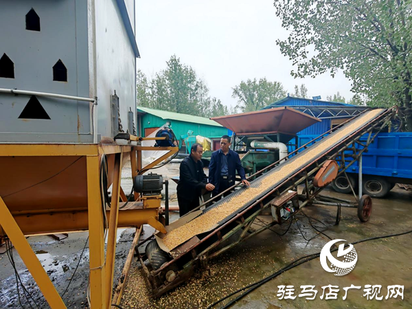 平輿縣陽城鎮(zhèn):戰(zhàn)陰雨搶農(nóng)時(shí) 守護(hù)秋收“糧袋子”