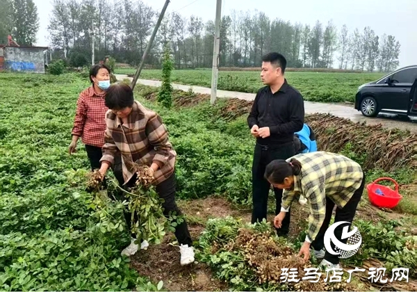 雨里搶、晴里收!萬金店鎮干群接力“戰”天氣、護糧倉