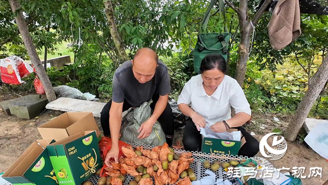 正陽縣閭河鄉:生態種植結碩果 鋪就鄉村振興路