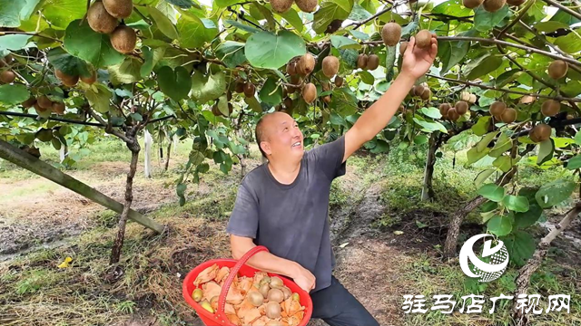 正陽縣閭河鄉:生態種植結碩果 鋪就鄉村振興路
