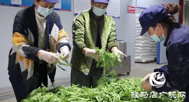 新蔡常老莊村:小“蒸菜”蒸出致富新希望