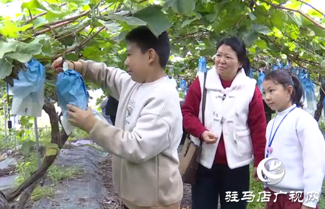 ??驛城區:親子采摘活動助農增收?