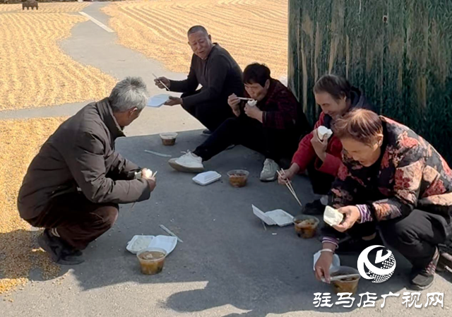 驛城區水屯鎮：村支書自費為村民送餐 暖心服務解曬糧難題??