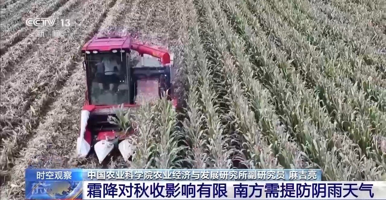 晚播小麥如何保產量?霜降搶秋該怎么搶?專家分析