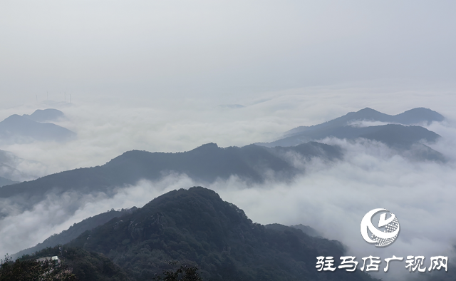 深秋霧漫老樂山 云海翻涌繪仙境