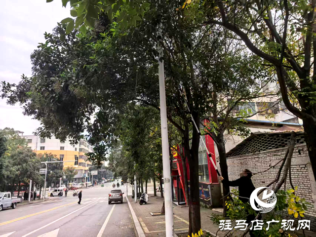  確山縣住建局：”接訴即辦”剪除隱患