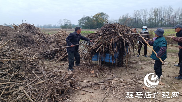 確山縣留莊鎮(zhèn):秸稈“廢”變“寶” 走出生態(tài)增收雙贏路