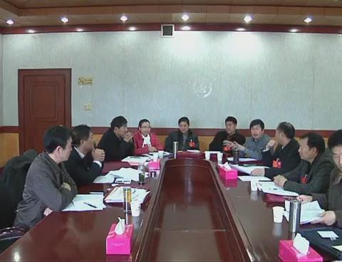 市政協三屆三次會議舉行分組討論